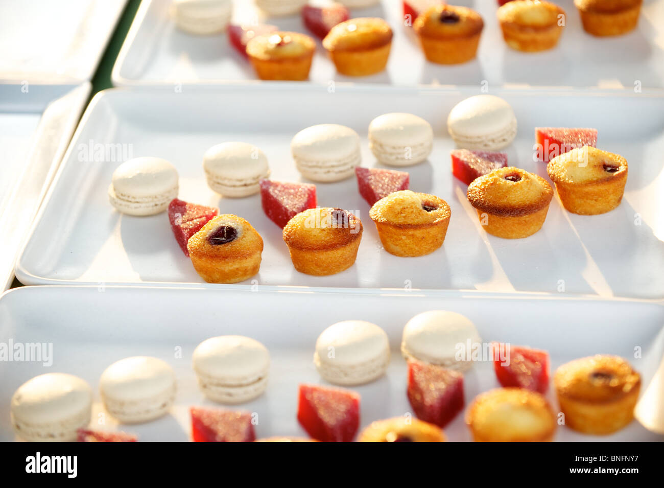 Dolci da forno sono placcate con l'eccezionale nel campo evento al braccio del Nord Farm. Pemberton BC, Canada Foto Stock