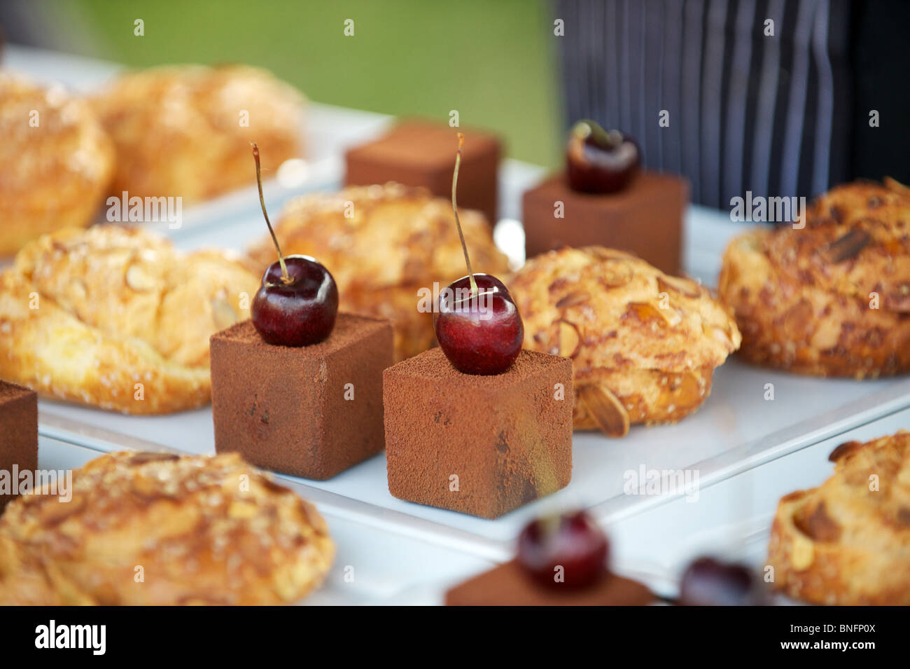 Dolci da forno con le ciliegie, lamponi e more. Eccezionale nel campo cena, Pemberton BC, Canada Foto Stock