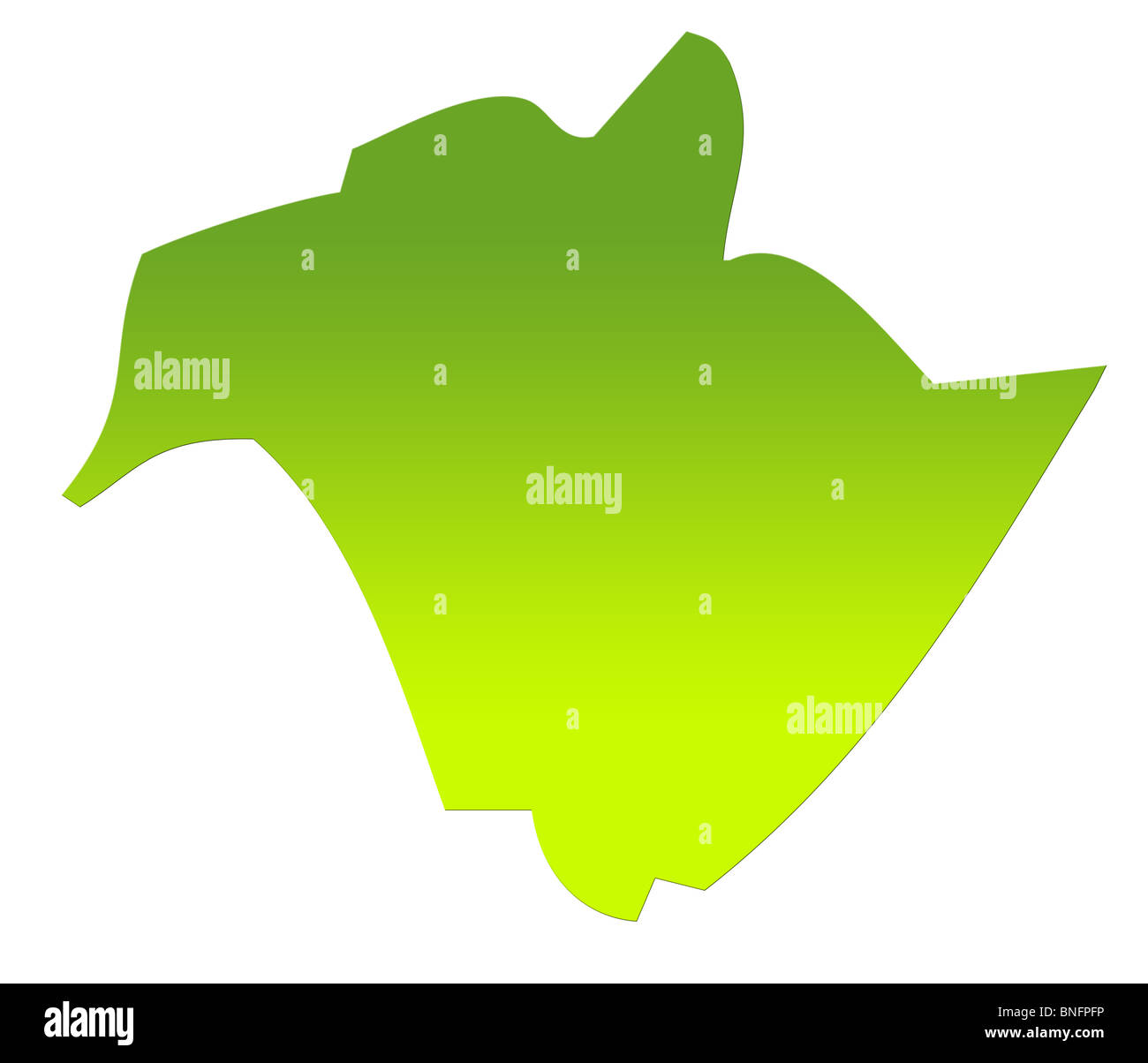 New Brunswick provincia del Canada mappa di gradiente verde, isolati su sfondo bianco. Foto Stock