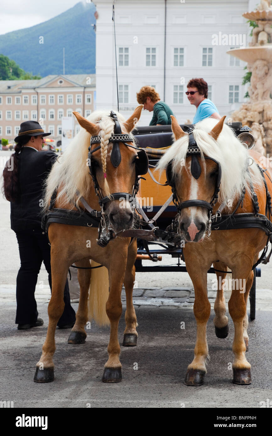 Turisti carro trainato da cavalli per tour della città con una coppia di cavalli bionda nel cablaggio. Residenz Platz, Salisburgo, Austria. Foto Stock