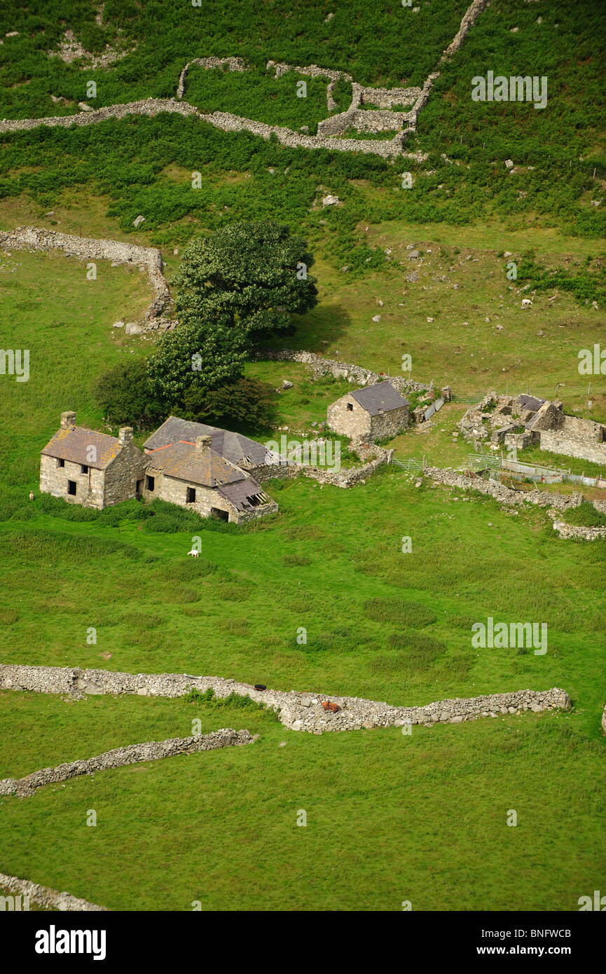 Un vecchio abbandonato hill farm in Nant Gwrtheyrn, Lleyn Peninsula, Gwynedd Galles del Nord Foto Stock