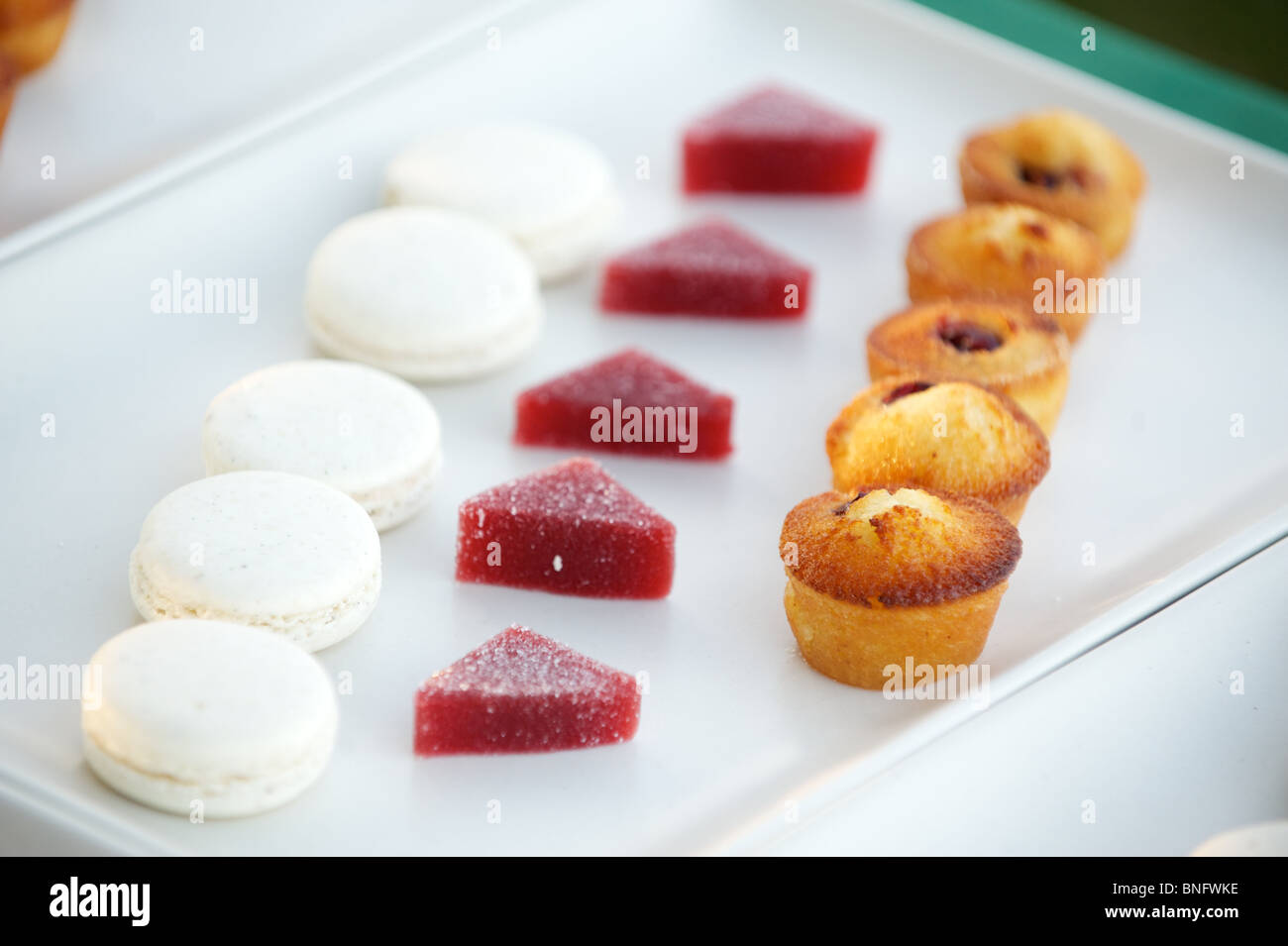 Dolci da forno sono placcate con l'eccezionale nel campo evento al braccio del Nord Farm. Pemberton BC, Canada Foto Stock