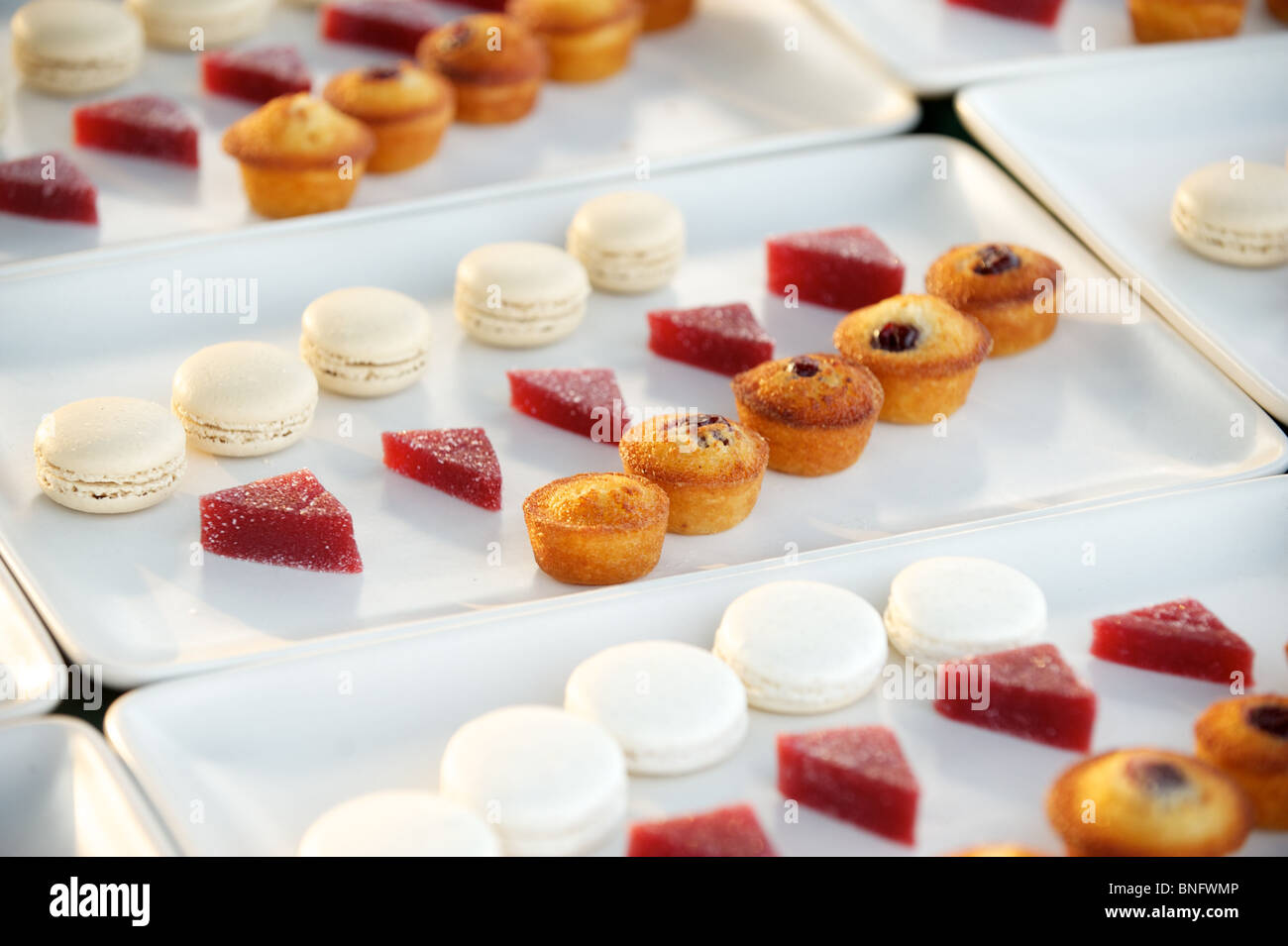 Dolci da forno sono placcate con l'eccezionale nel campo evento al braccio del Nord Farm. Pemberton BC, Canada Foto Stock