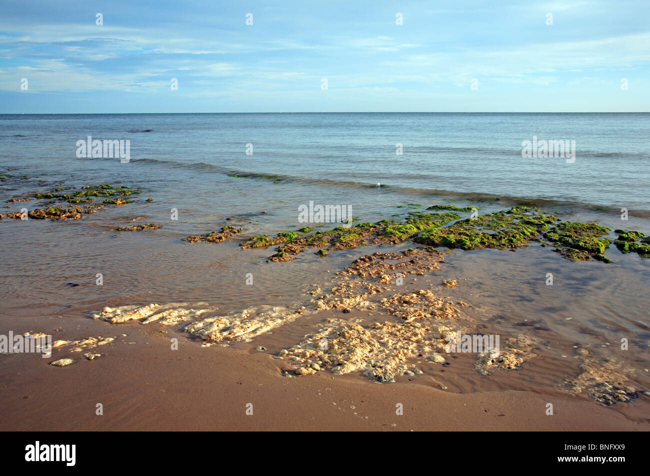 Cretaceo superiore la roccia esposta a bassa marea a Sheringham, Norfolk, Inghilterra, Regno Unito. Foto Stock