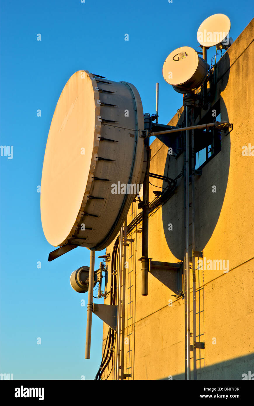 Forno a microonde telefono cellulare comunicazioni relè segnale di torre riflettori Vancouver BC Foto Stock