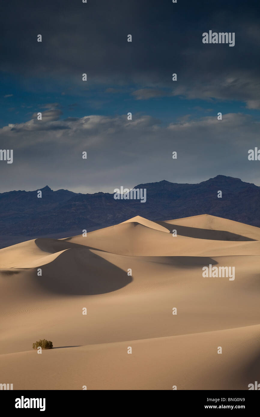 Mesquite dune vicino a tubo da stufa pozzetti Death Valley Ca USA Foto Stock