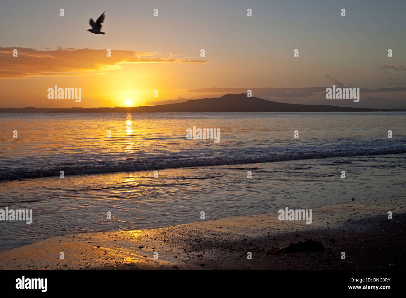 Nuova Zelanda ; Golfo di Hauraki,Isola del Nord ; Alba Rangitoto isola vulcanica ; Marzo 2OO9 Foto Stock