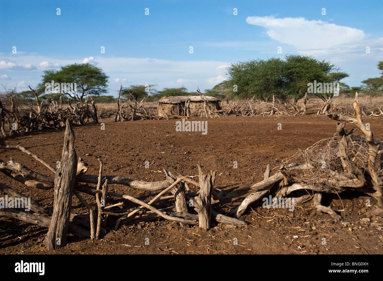 Masai boma con area recintata per proteggere il bestiame durante la notte malambo , Tanzania Foto Stock