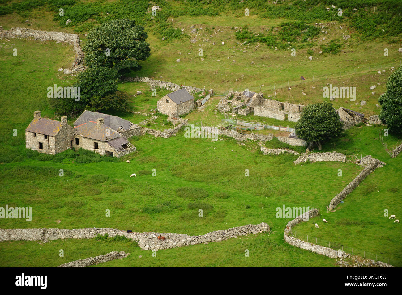 Un vecchio abbandonato hill farm in Nant Gwrtheyrn, Lleyn Peninsula, Gwynedd Galles del Nord Foto Stock