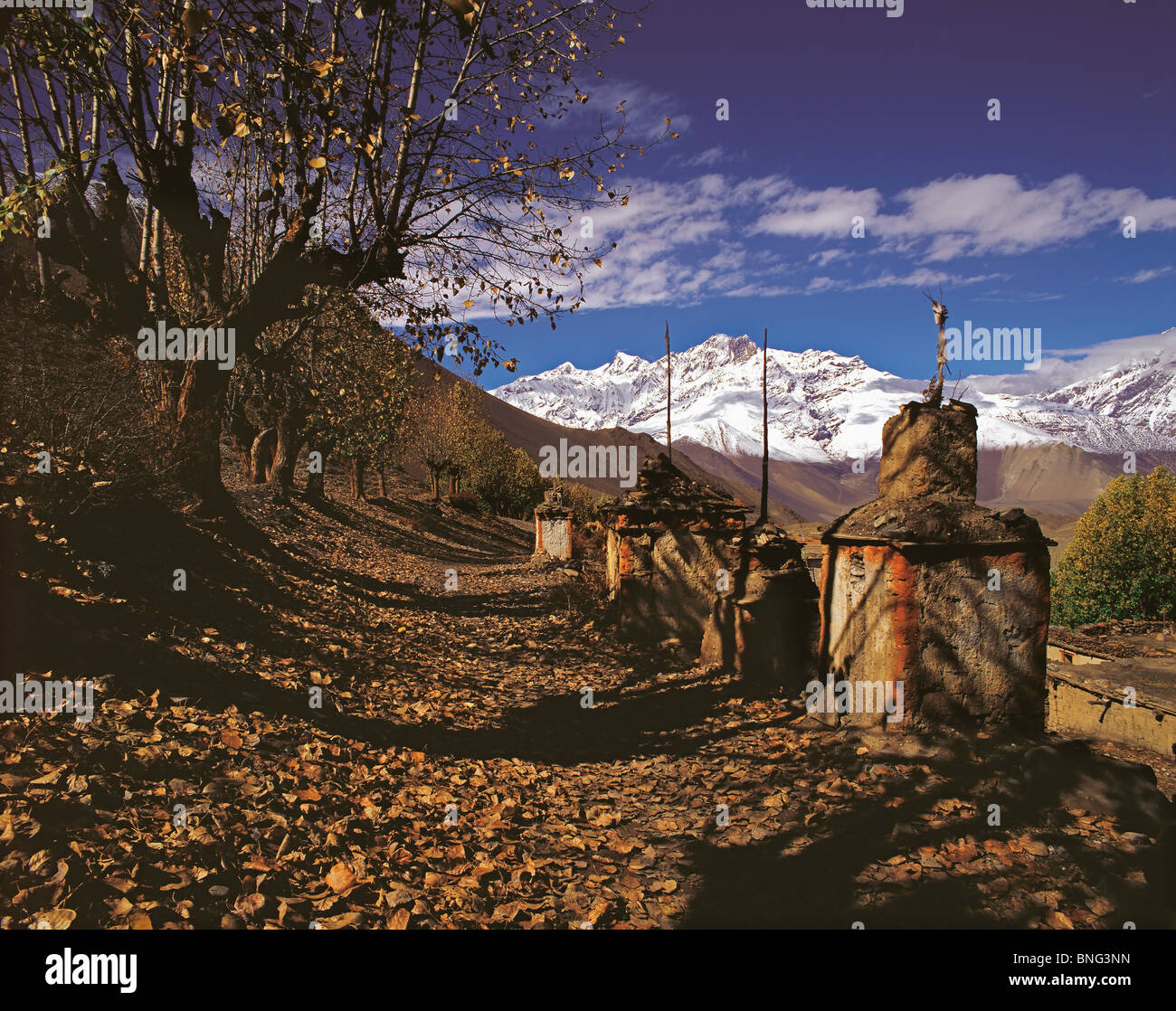 Una fila di chortens , devozionale strutture buddista - si distingue da un sentiero in Mustang, nord del Nepal, con Mustang Himal dietro Foto Stock