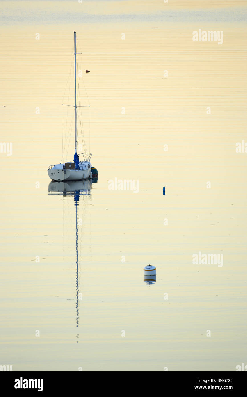 Barca a vela in mare, Royal Victoria Yacht Club, Victoria, Isola di Vancouver, British Columbia, Canada Foto Stock