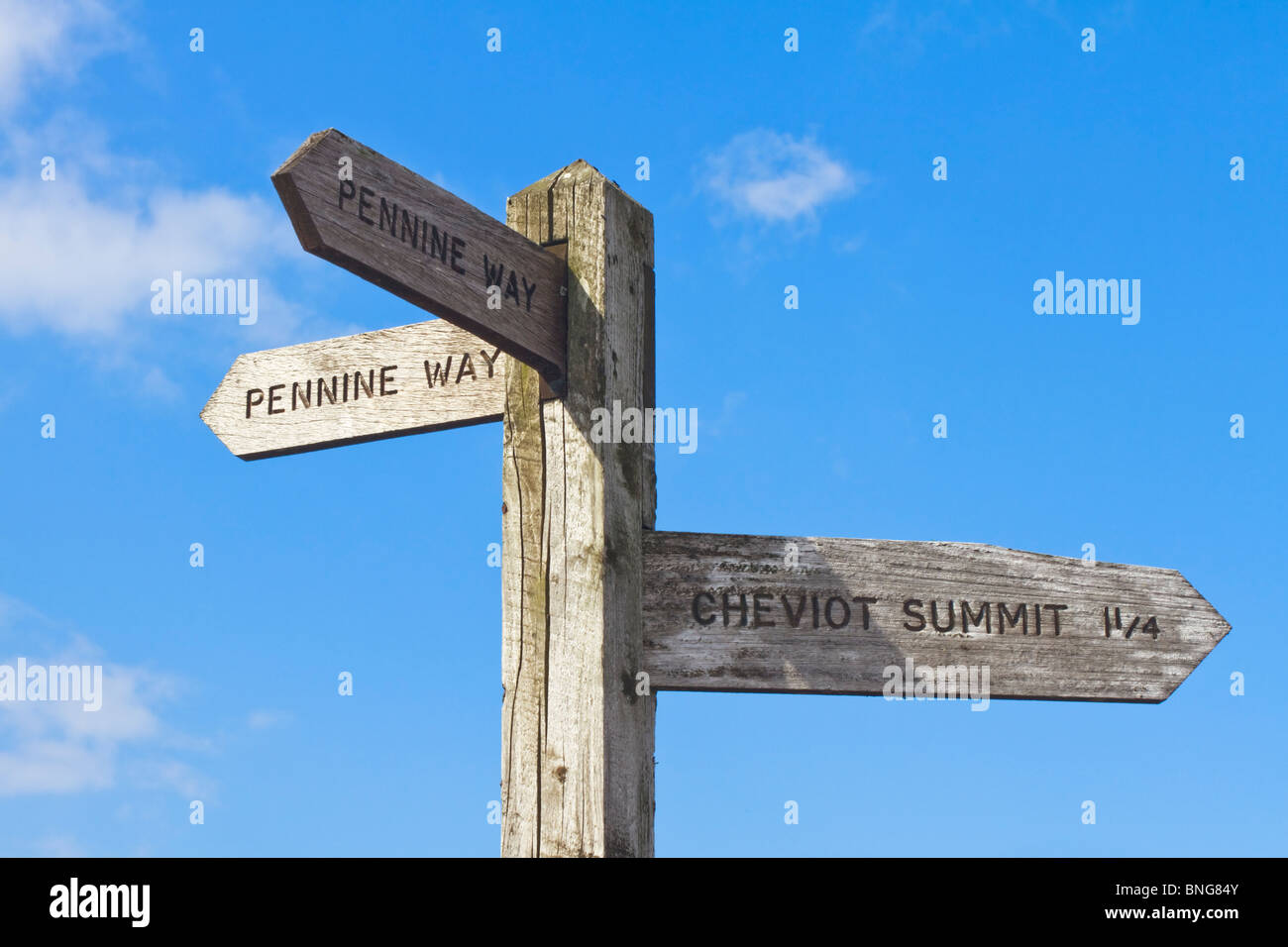 Segno del The Pennine Way sottolineando il percorso lungo il percorso per il vertice di Cheviot, parco nazionale di Northumberland, Inghilterra Foto Stock