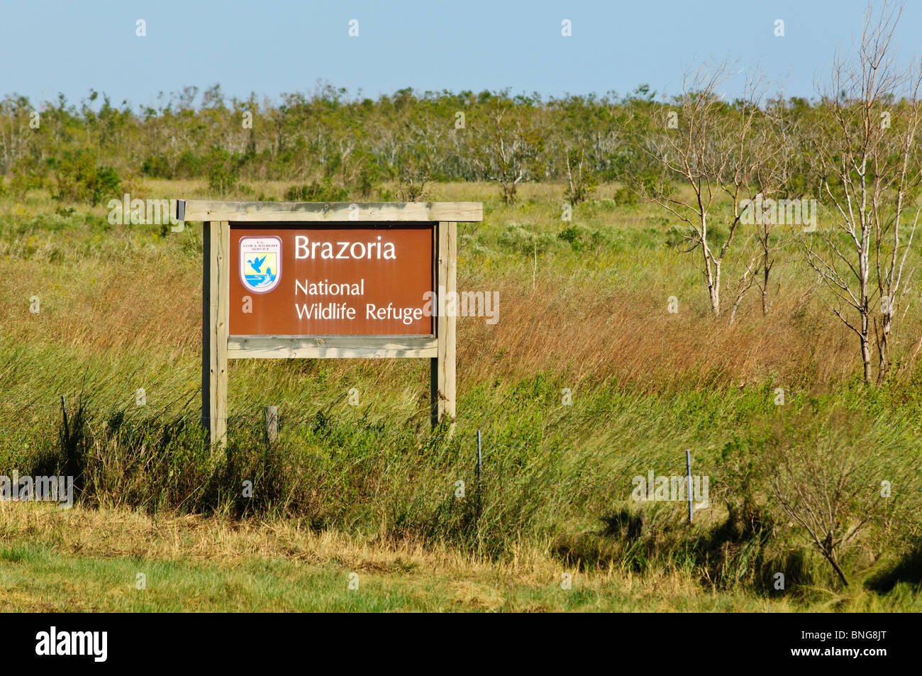 Texas. Bazoria National Wildlife Refuge. Foto Stock