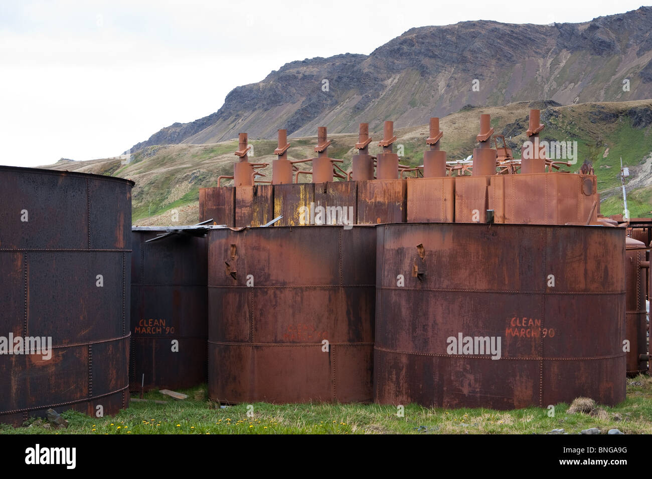 Blubber serbatoi presso la vecchia stazione baleniera di Grytviken, Georgia del Sud Foto Stock