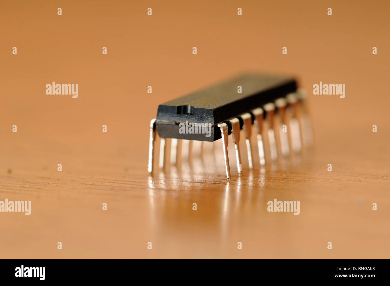 16 pin del chip di circuito integrato Foto Stock