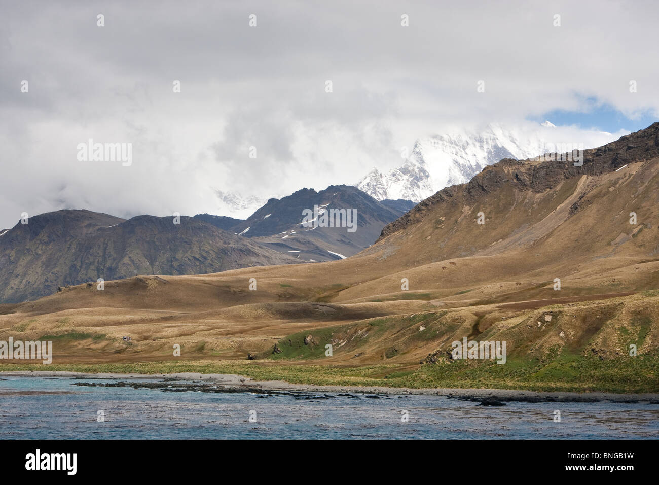 La vista delle montagne attorno al re Edward Cove, off Grytviken sull Isola Georgia del Sud Foto Stock