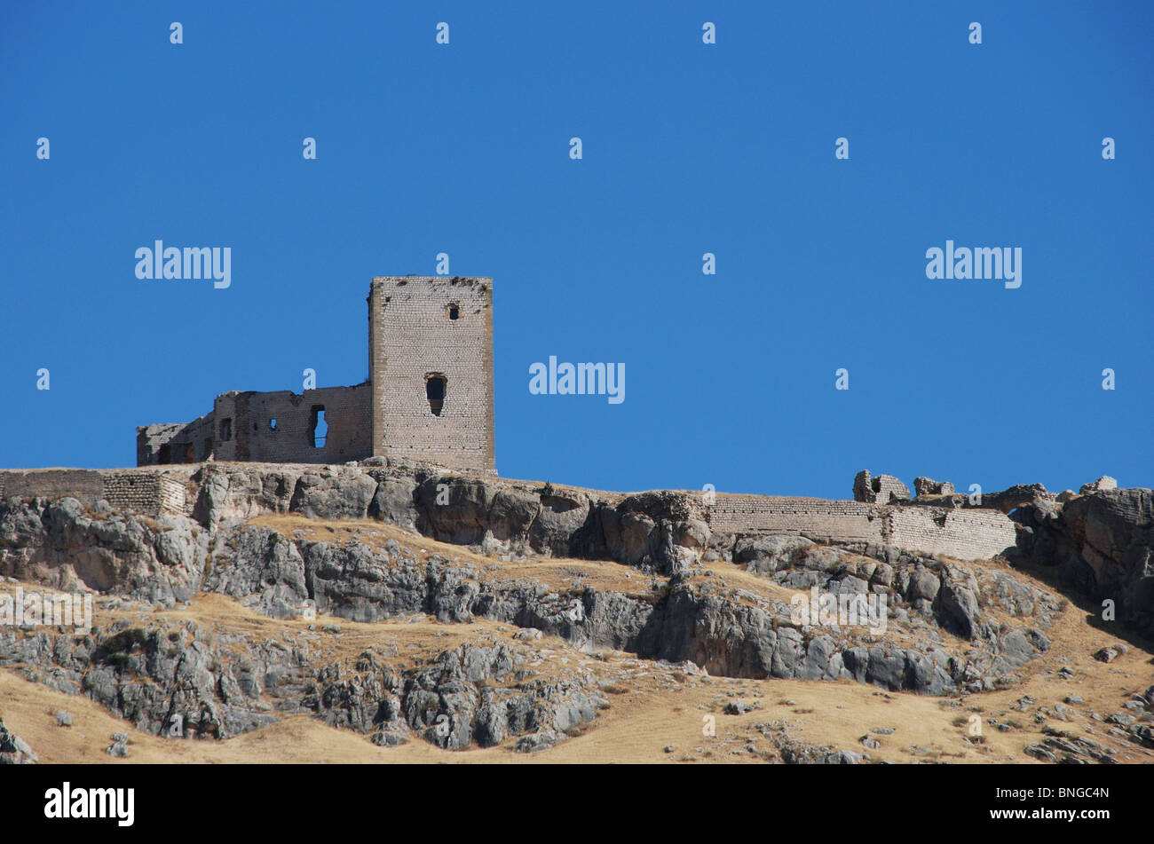 Vista del castello (Castillo de las Estrellas), Teba, provincia di Malaga, Andalusia, Spagna, Europa occidentale. Foto Stock