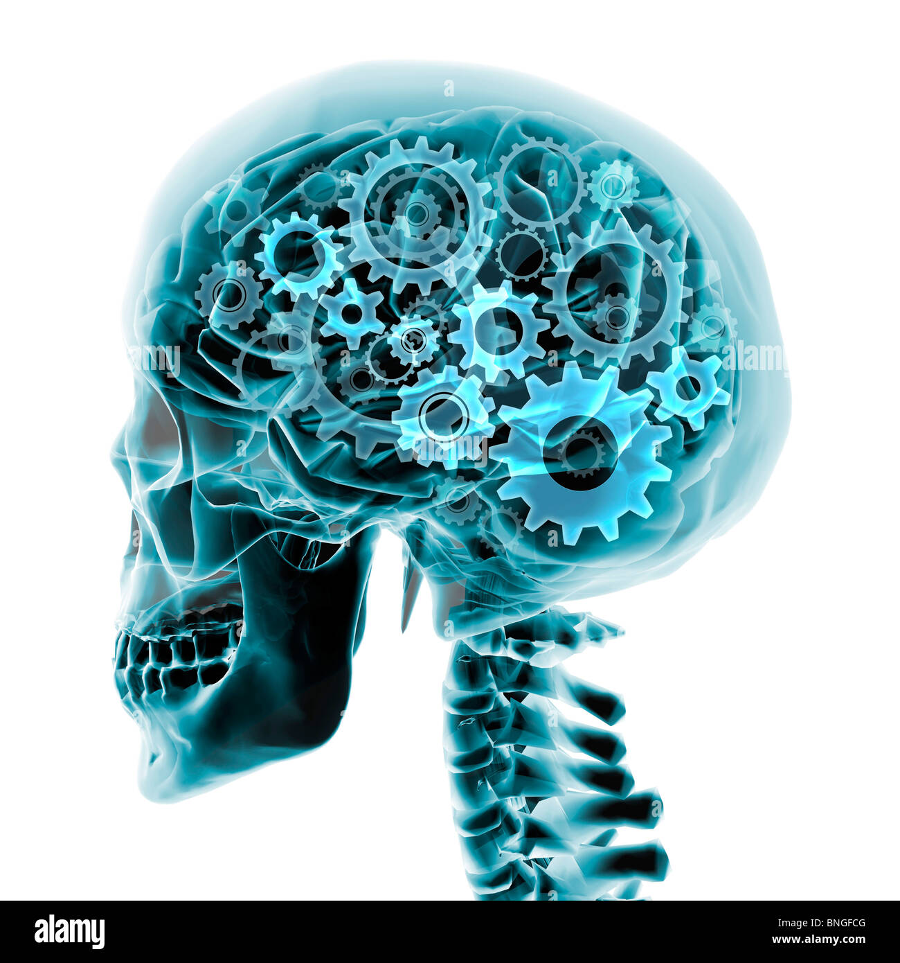 Blu x-ray del cervello e del cranio con marce ruotando all'interno Foto Stock