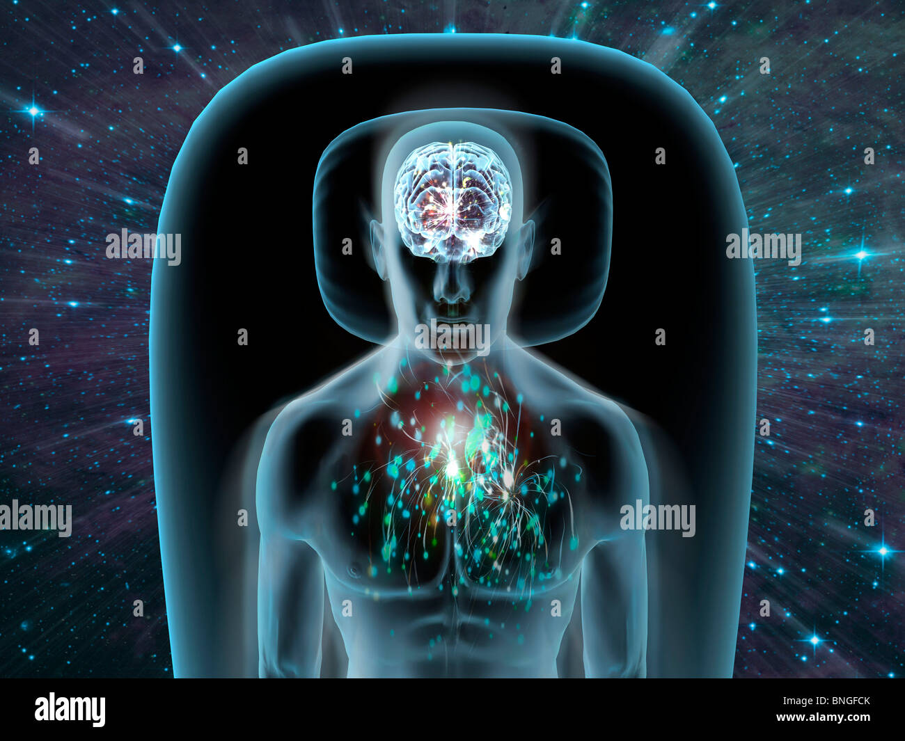 Vista ai raggi X di un uomo di sognare con la vista del cervello e del petto Foto Stock