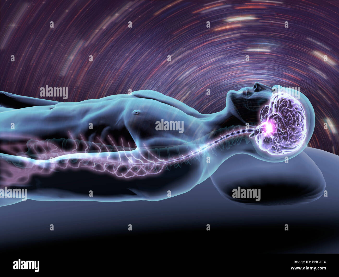 Vista ai raggi X di un uomo di sognare con la vista del cervello e del midollo spinale Foto Stock