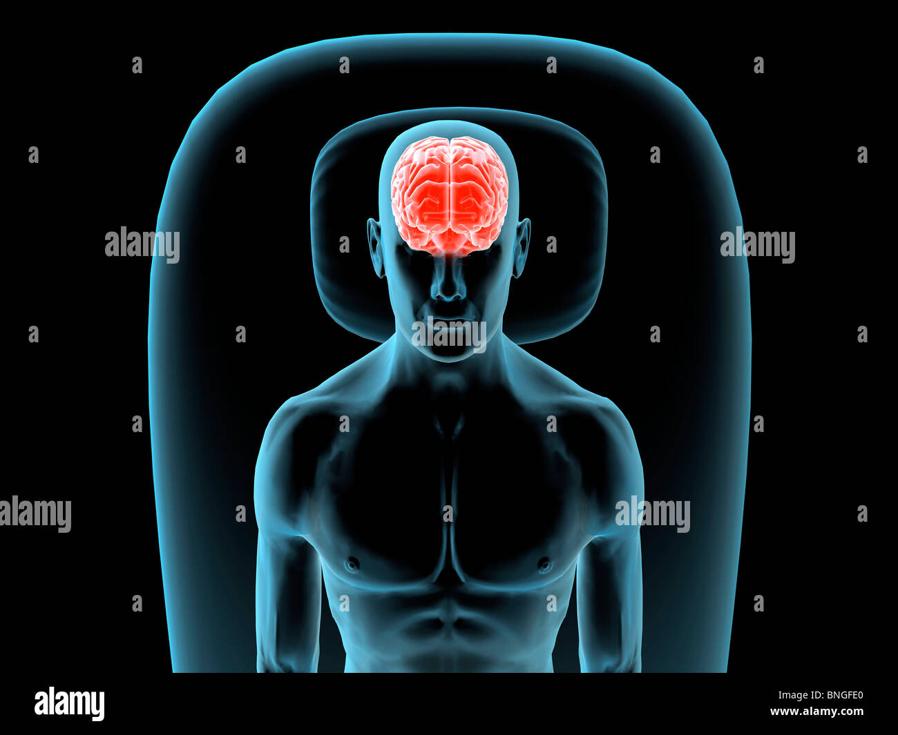 Vista ai raggi X di un uomo appoggiato con vista del cervello Foto Stock