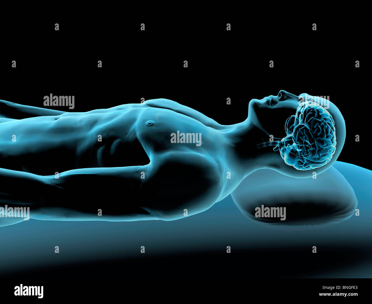 Vista ai raggi X di un uomo appoggiato con vista del cervello Foto Stock