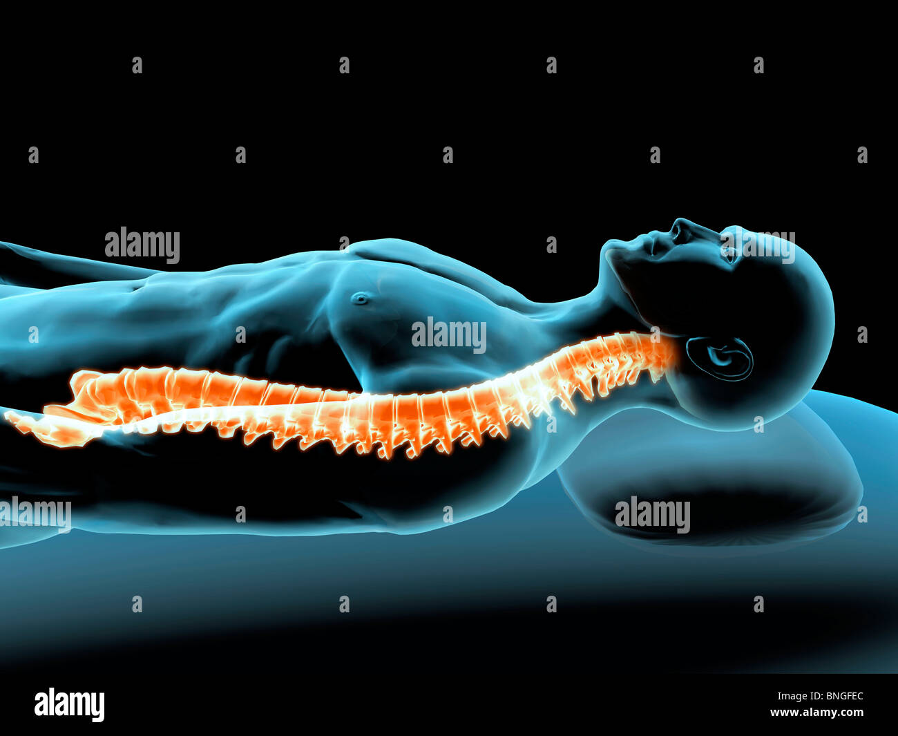 Vista ai raggi X di un uomo in appoggio con la vista della colonna vertebrale Foto Stock