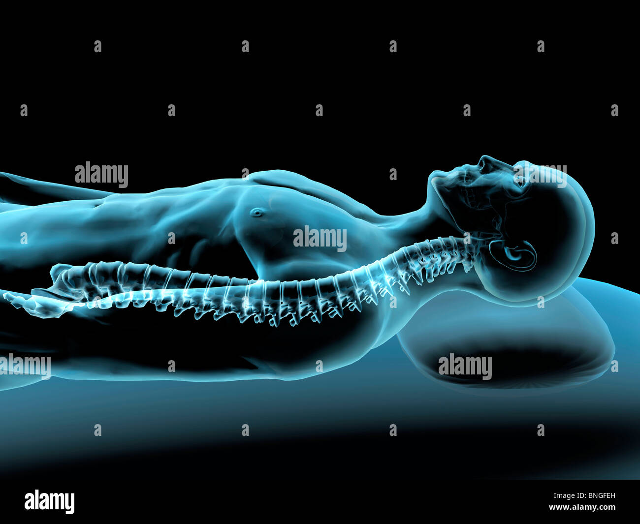 Vista ai raggi X di un uomo in appoggio con la vista della colonna vertebrale Foto Stock