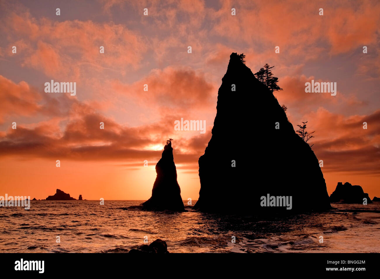 Scogliere in mare, Rialto Beach, Parco Nazionale di Olympic, nello Stato di Washington, USA Foto Stock
