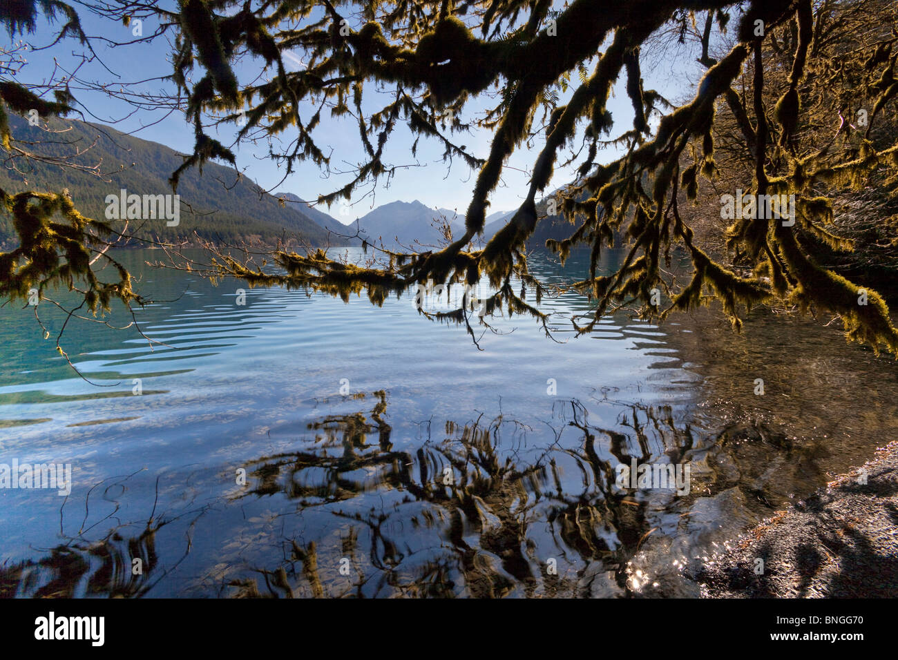Le montagne in riva al lago, lago Crescent, il Parco Nazionale di Olympic, nello Stato di Washington, USA Foto Stock