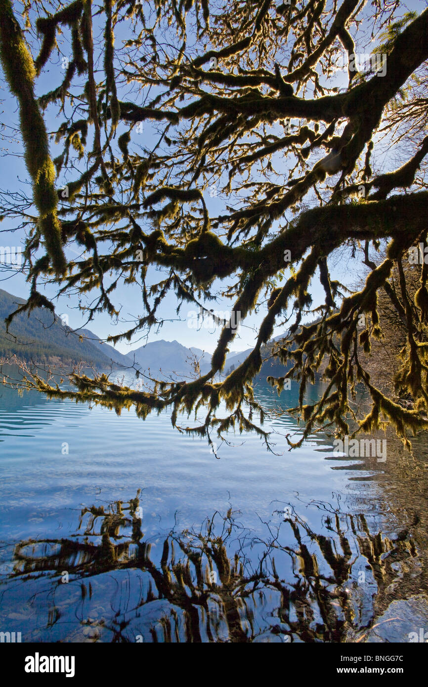 Le montagne in riva al lago, lago Crescent, il Parco Nazionale di Olympic, nello Stato di Washington, USA Foto Stock