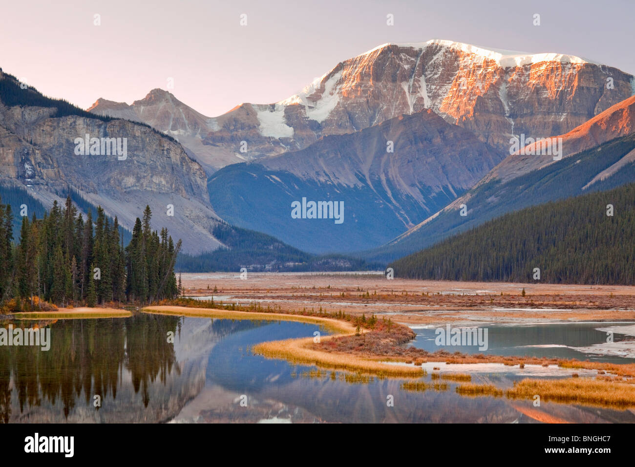 Fiume con montagne di sunrise, Sunwapta River, Monte Kitchener, Jasper National Park, Alberta, Canada Foto Stock