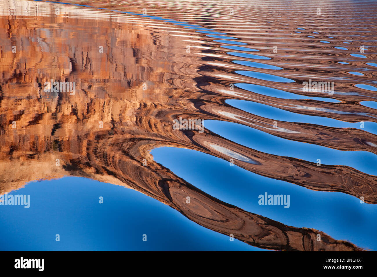 La riflessione di rocce in un lago, lago Powell, Glen Canyon National Recreation Area, Utah, Stati Uniti d'America Foto Stock