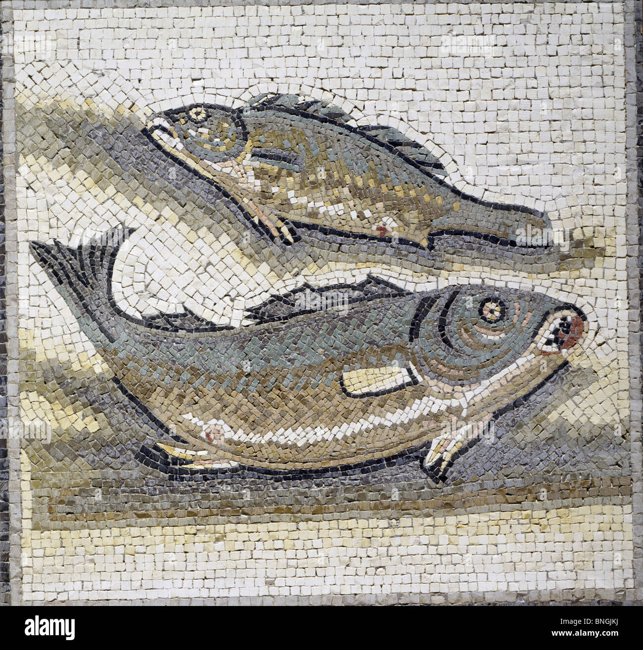 Due Pesci, 1a-3rd secolo BC, mosaico Foto Stock