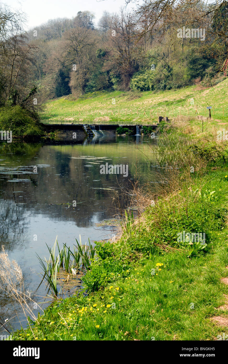 Laghi cwrt yr ala park michaelston le pit vicino a dinas powys Vale of Glamorgan South wales uk Foto Stock