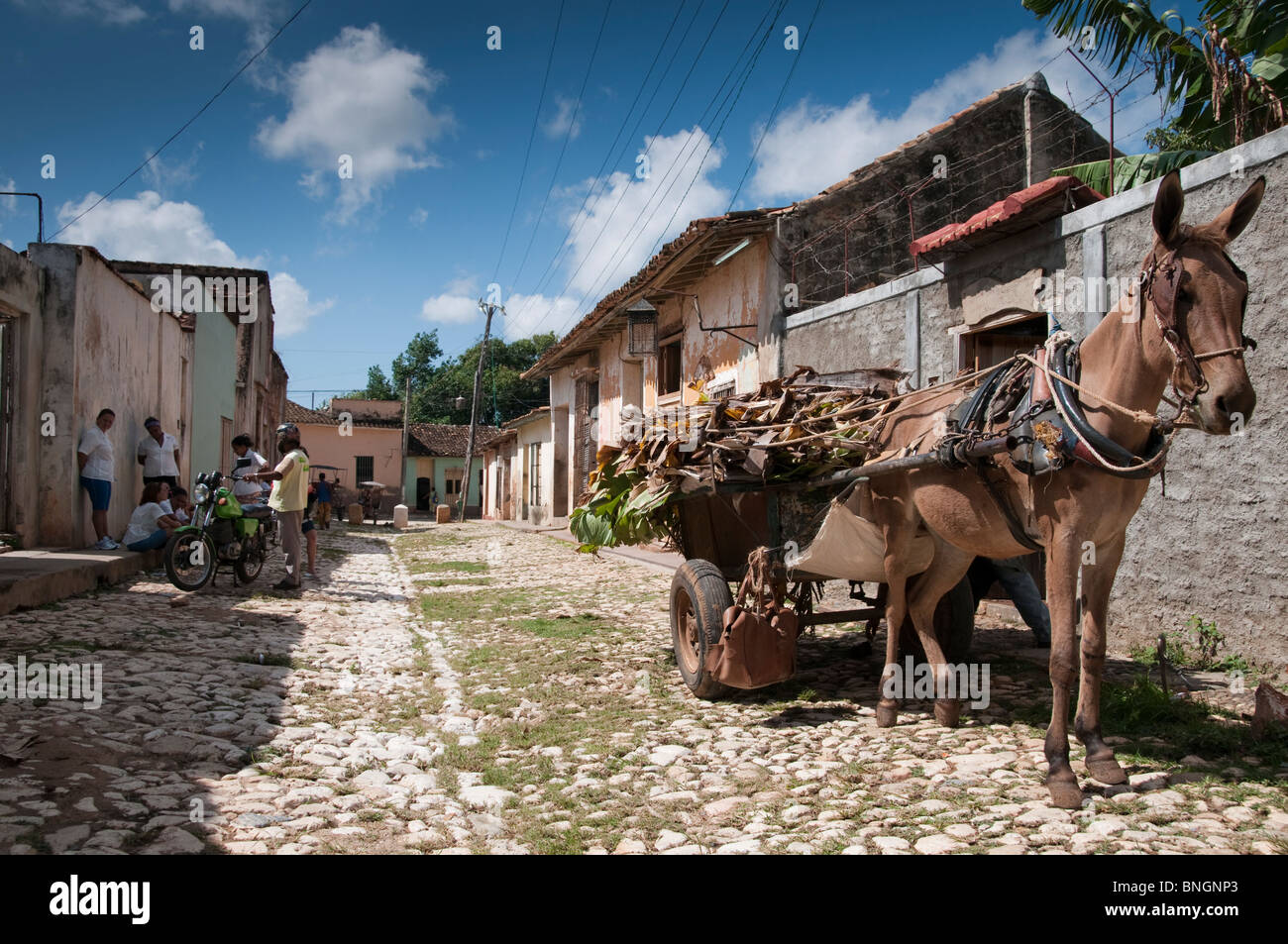 Cubano vita di strada, Trinidad, Cuba Foto Stock