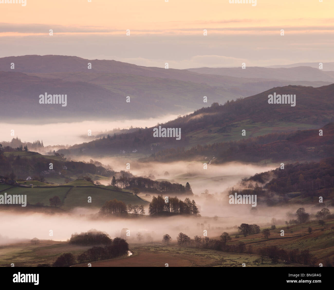 La nebbia indugia nella piccola valle Langdale all'alba, Parco Nazionale del Distretto dei Laghi, Cumbria, Inghilterra. In autunno (Novembre) 2009 Foto Stock
