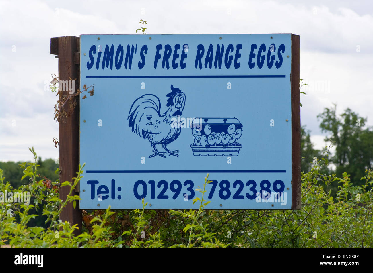 Free Range uova per vendita cartello stradale Foto Stock