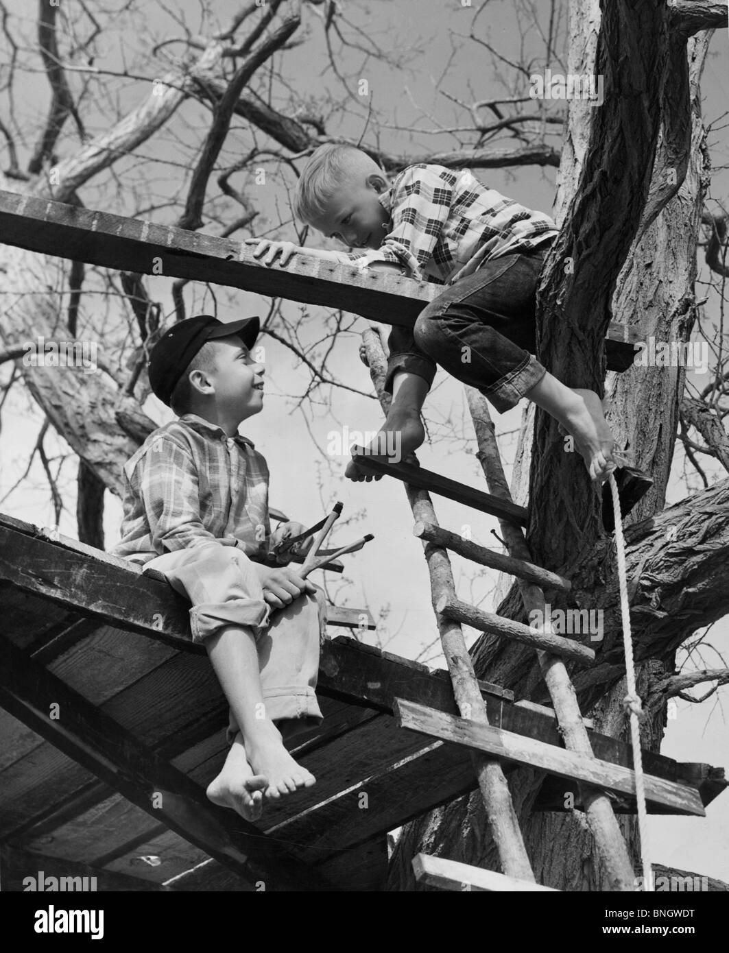 Due ragazzi (8-9) giocando in casa ad albero Foto Stock