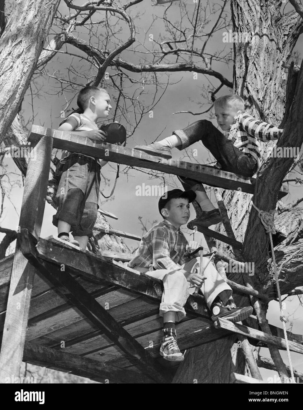 Tre ragazzi (8-9) giocando in casa ad albero Foto Stock
