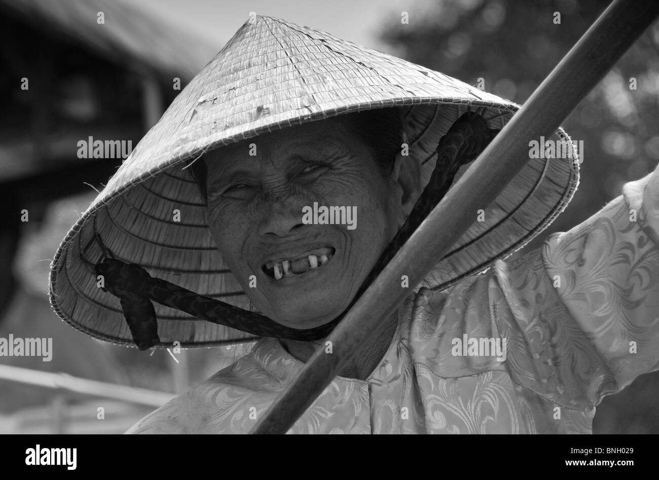 Delta del Mekong & Paddy Campo funziona, il Delta del Mekong, Vietnam Foto Stock