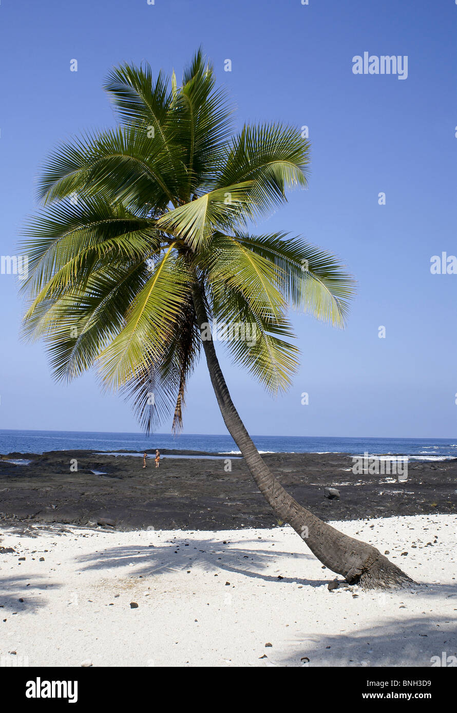 Pu'uhonua o Honaunau è un National Historic Park sulla Big Island delle Hawaii. Foto Stock