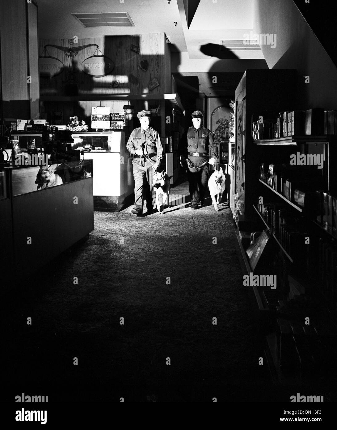La ricerca di polizia con i cani della polizia in un edificio Foto Stock