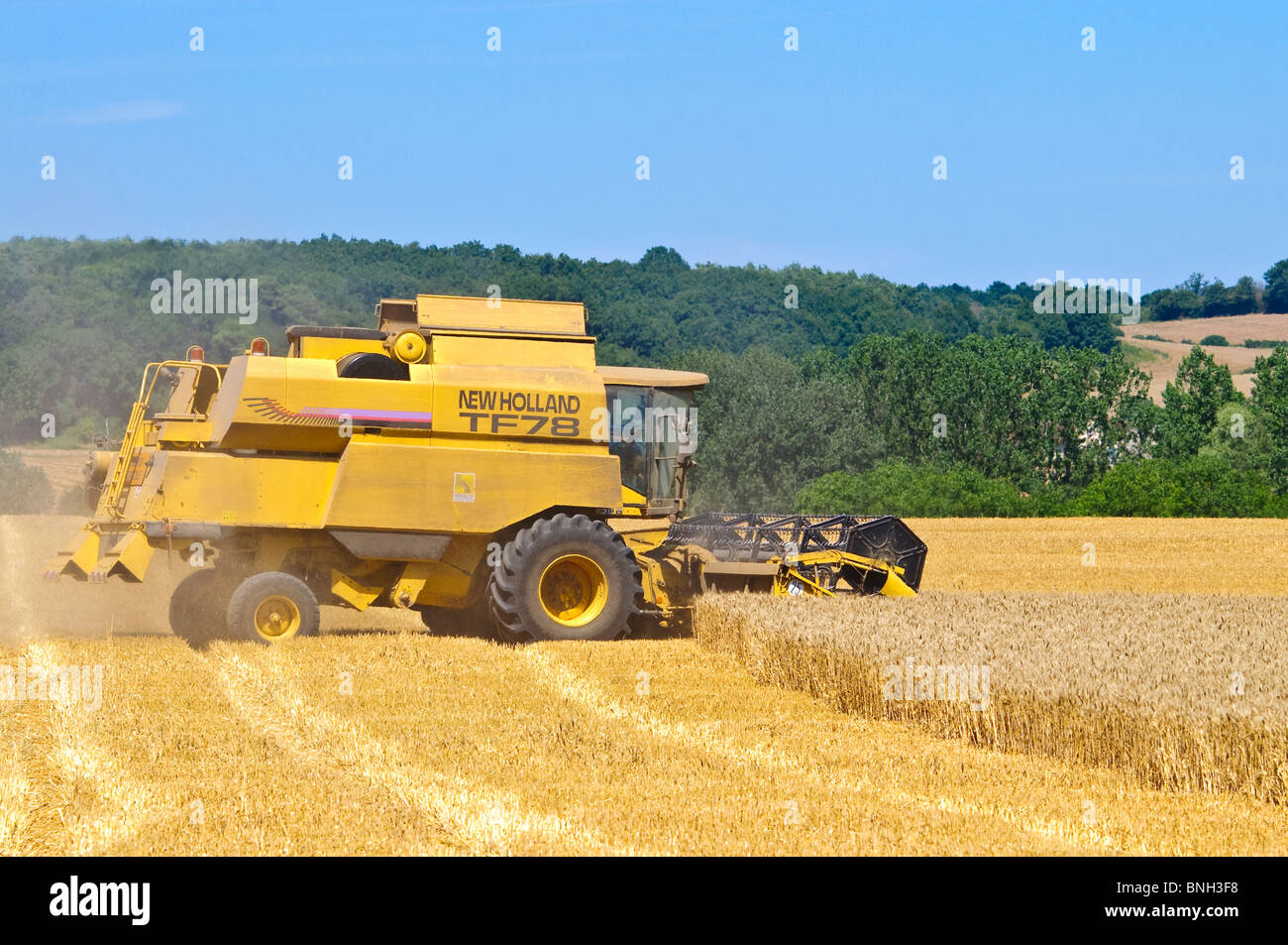 New Holland TF78 mietitrebbia, la raccolta di frumento - Indre-et-Loire, Francia. Foto Stock