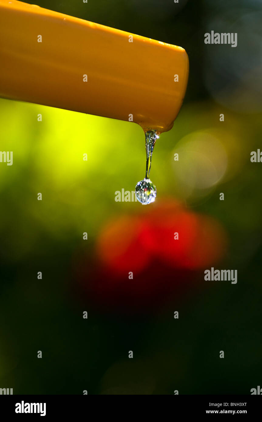 PIPA PER ZOCCOLI BAN SICCITÀ ESTATE ACQUA DA GIARDINO goccia d'acqua pura limpida che cade dal tubo flessibile del giardino nel giardino estivo illuminato dal sole Foto Stock