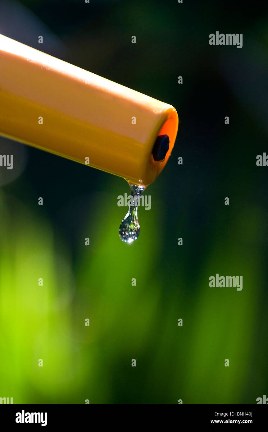GOCCIOLATOIO D'ACQUA DIVIETO DI CARENZA D'ACQUA GIARDINO GOCCIOLATOIO d'acqua limpida e pura goccia che cade dal tubo flessibile del giardino nel giardino estivo illuminato dal sole Foto Stock