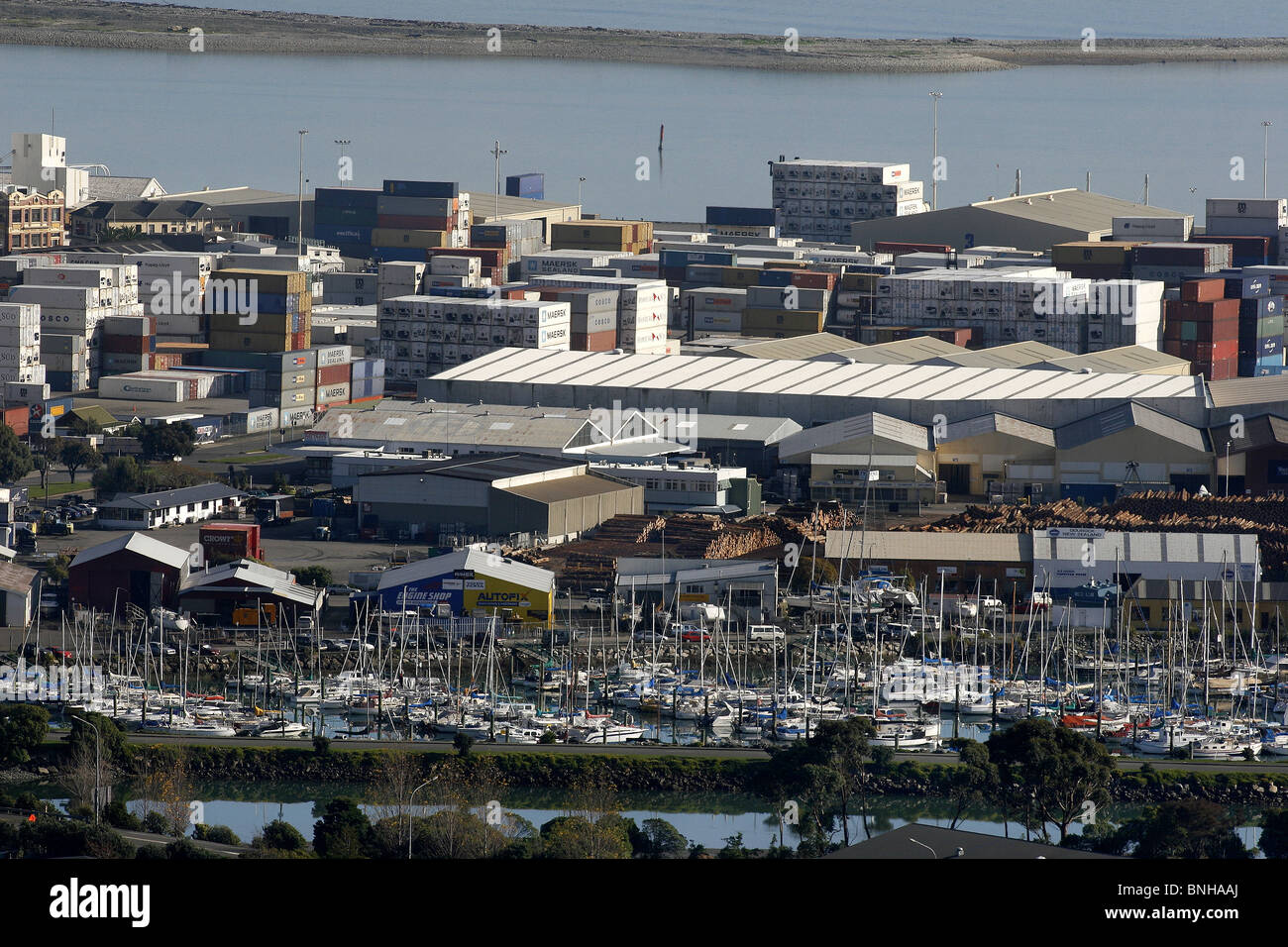 Nelson, Nuova Zelanda vista che mostra il porto e marina Nelson in background Foto Stock