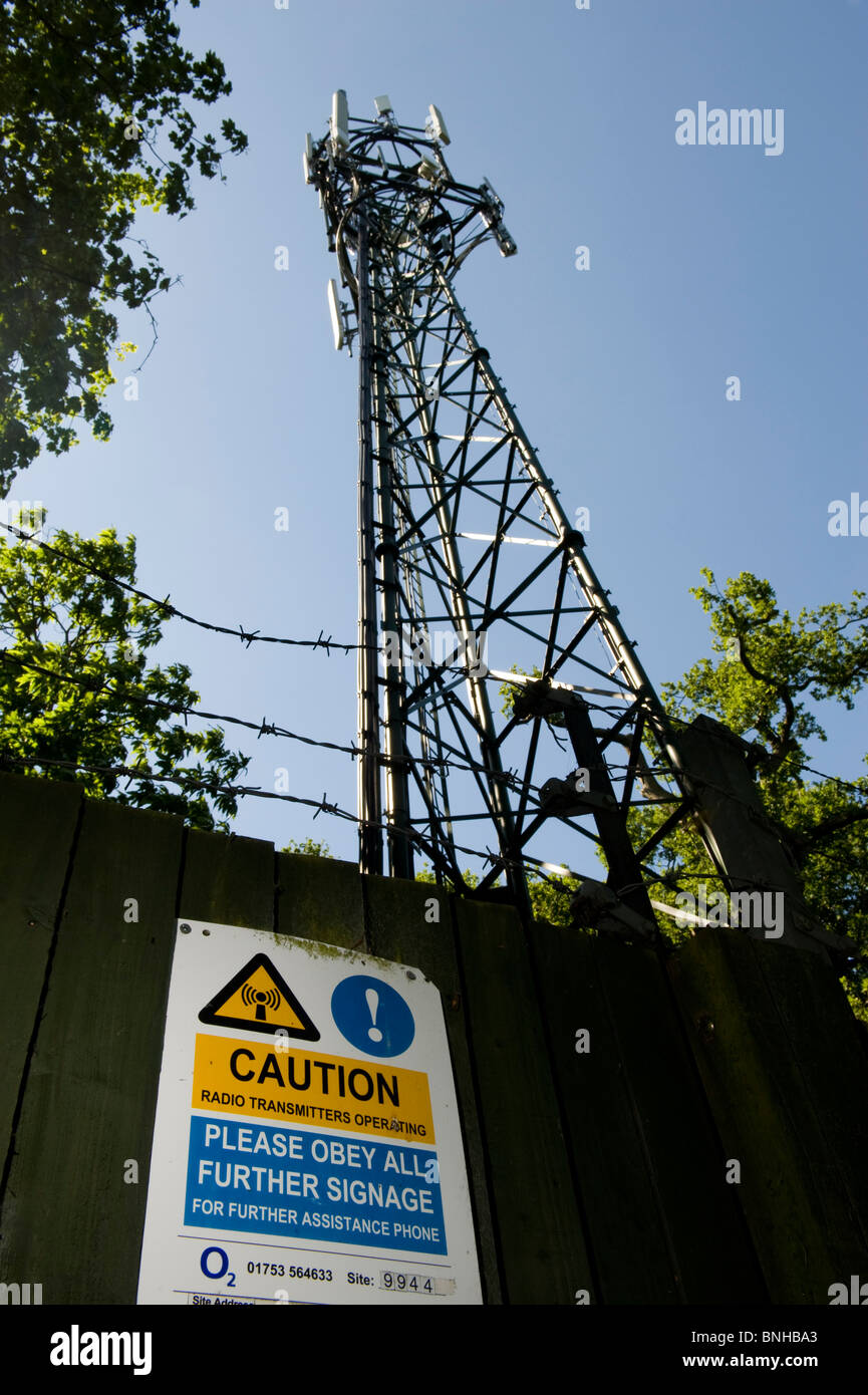 Telefono cellulare di montante, nel bosco, Kent. Foto Stock