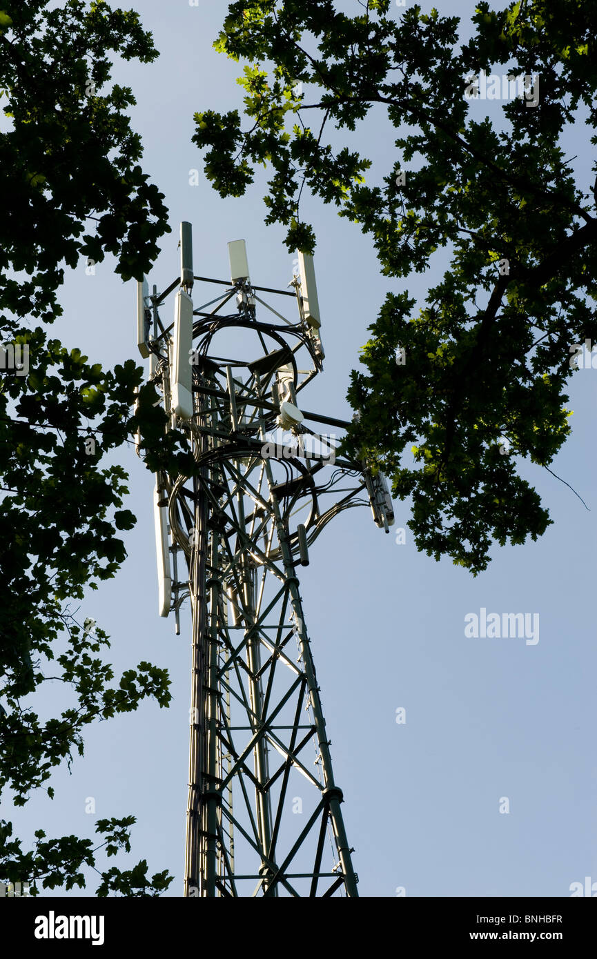 Telefono cellulare di montante, nel bosco, Kent. Foto Stock