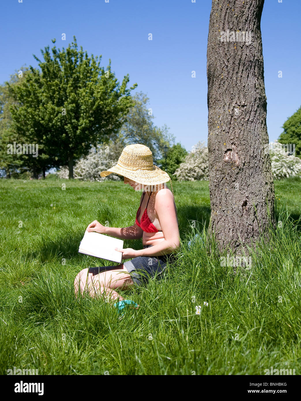 Ragazza nel cappello di paglia libro di lettura mediante una struttura ad albero in posizione di parcheggio Foto Stock